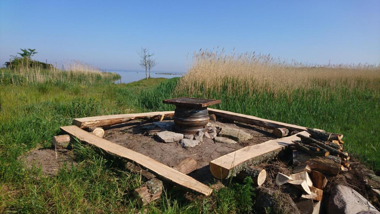 Stålemara Gård Prutgåsen - B&B Fågelmara