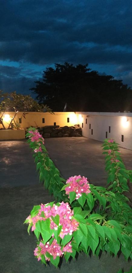 Appartement Blue Coast - Bed and Breakfast