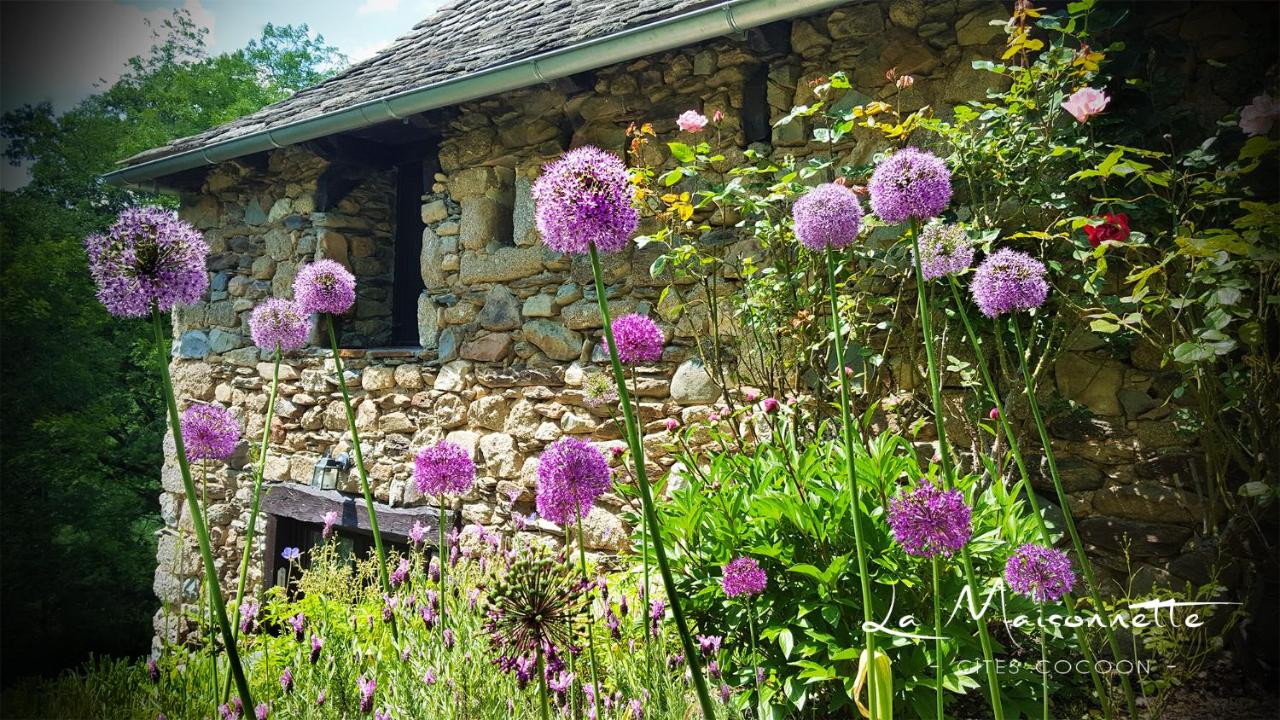 B&B Entraygues-sur-Truyère - La Maisonnette - Bed and Breakfast Entraygues-sur-Truyère