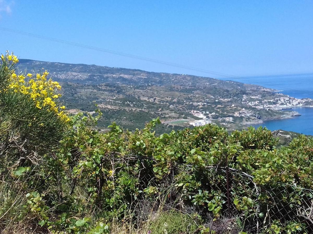 Ikarian Centre - Accommodation & mountain hiking - Chambres d’hôtes Évdilos