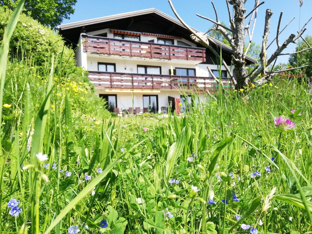 B&B Bürserberg - Ferienwohnung Tschengla mit eigener Sonnenterrasse - Wiese - Wlan - Netflix - Bed and Breakfast Bürserberg