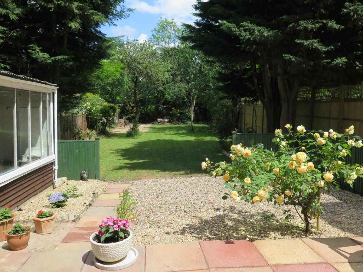 B&B Ealing - Garden Flat, Ealing - Bed and Breakfast Ealing