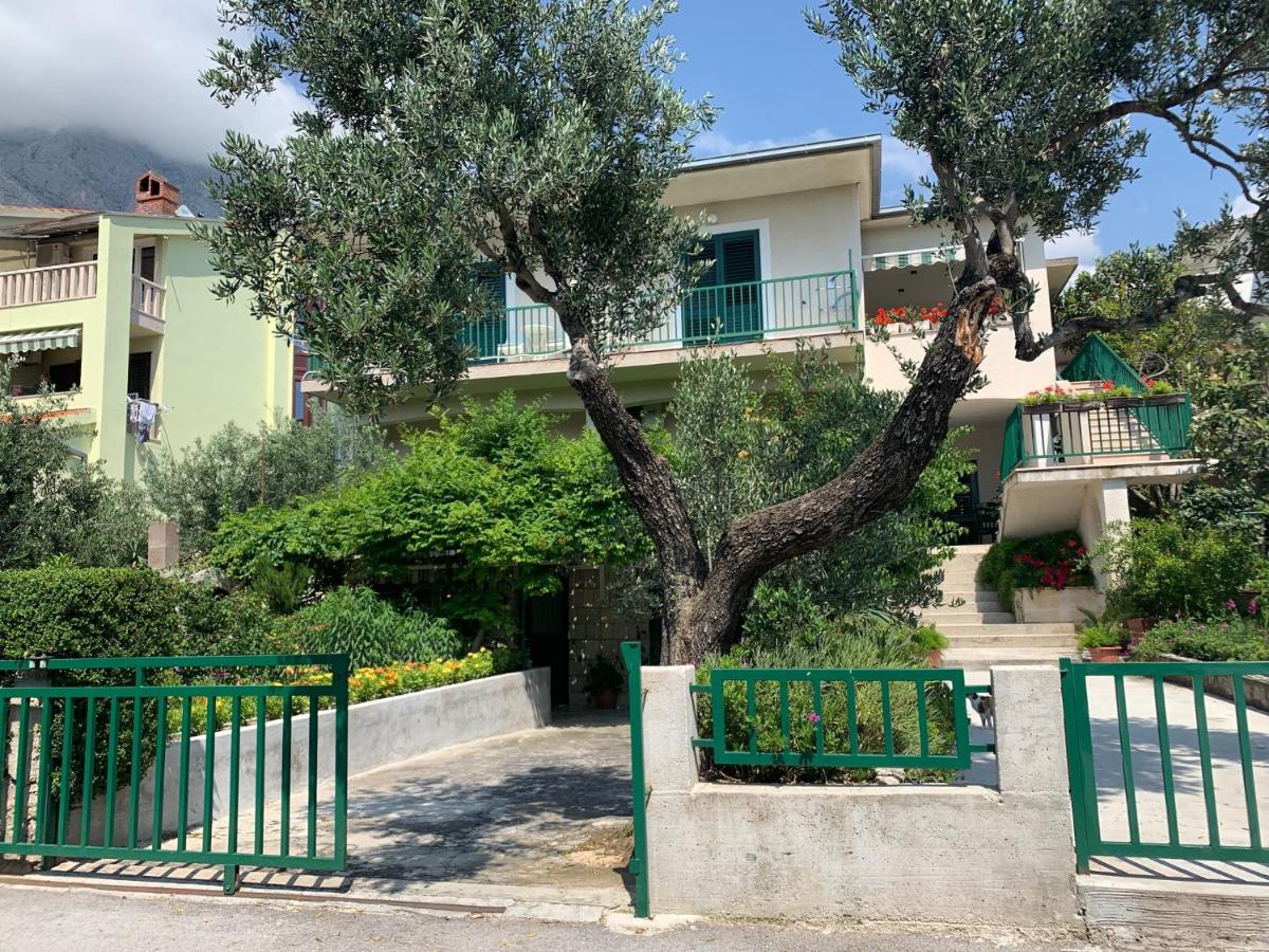 Villa Mandalena - B&B Baška Voda
