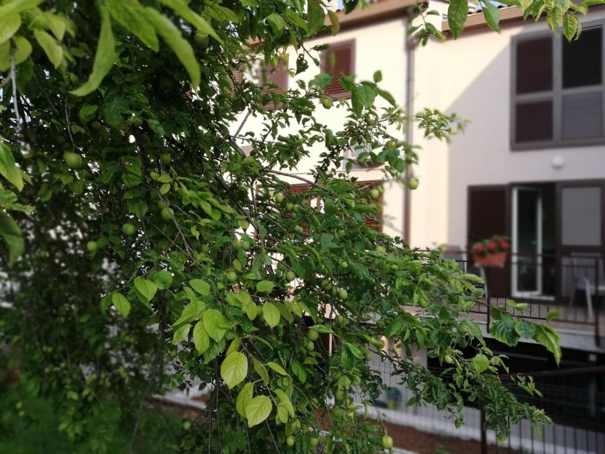 Family Apartment Ingrid - B&B