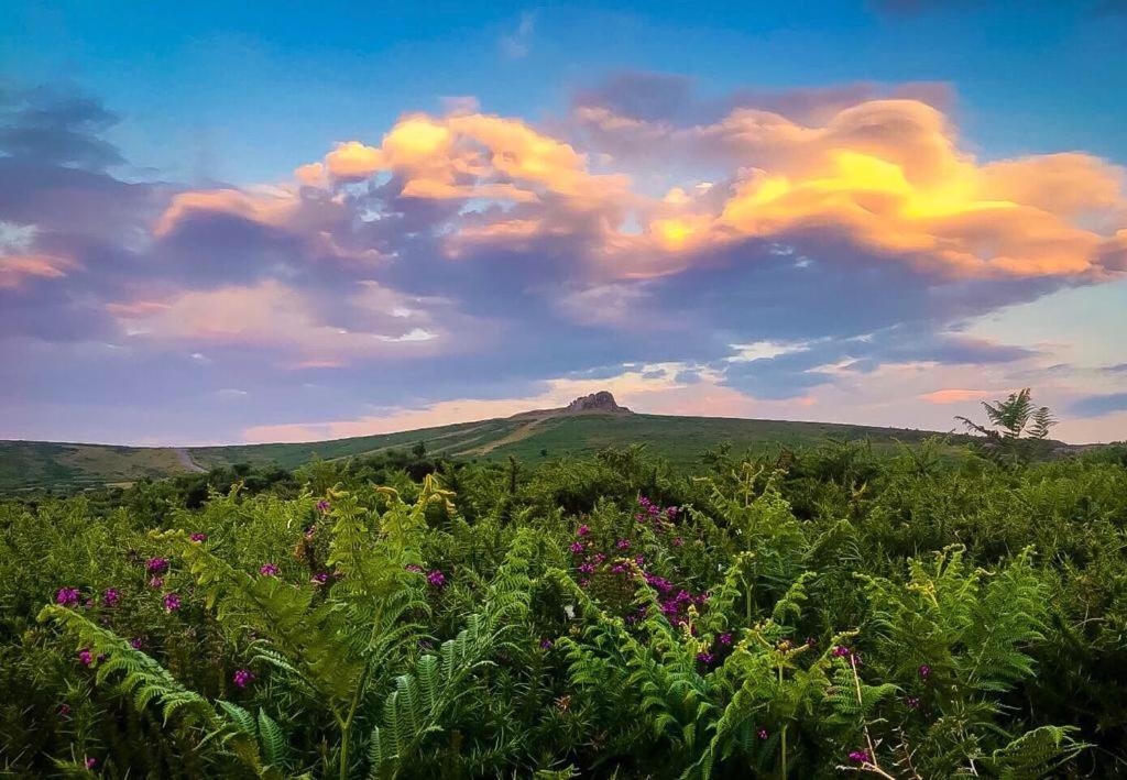 B&B Haytor - Haytor Court, Haytor, Dartmoor - Bed and Breakfast Haytor