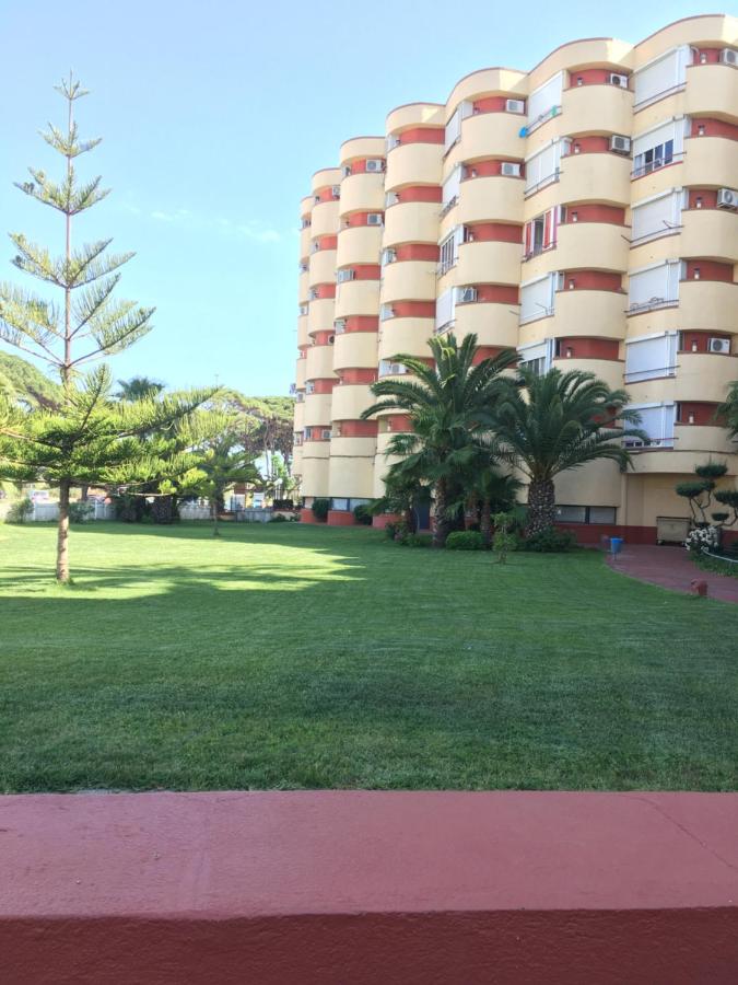 Estudio Loft - B&B La Pineda