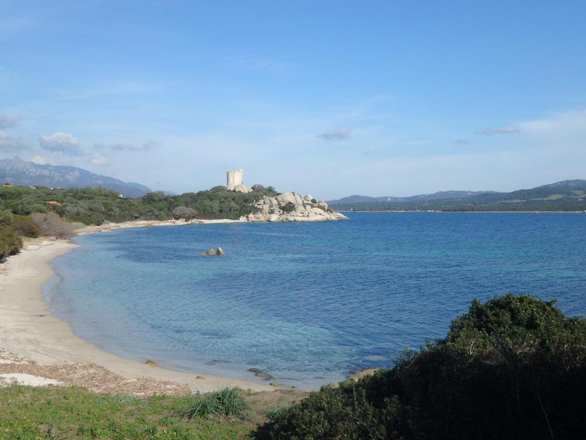 Caseddu di Chjarastella - Ferienwohnung Figari (Korsika)