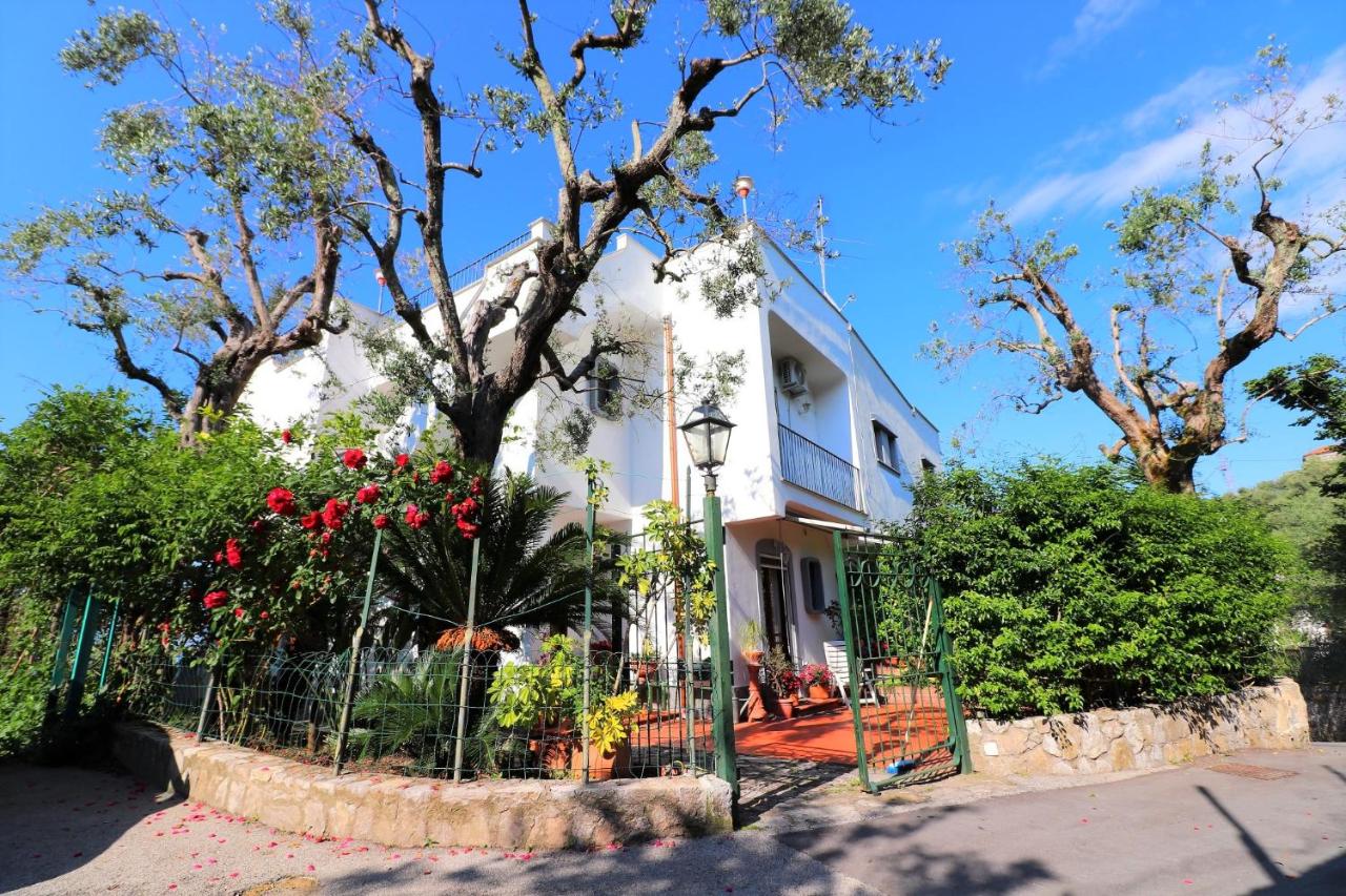 La Casetta di Emma - B&B Sorrento