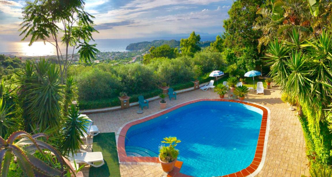 POOL APPARTAMENT - B&B