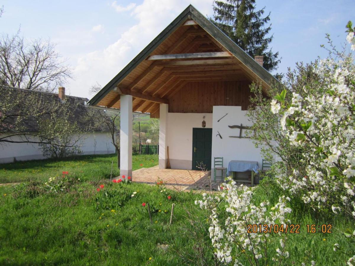 One-Bedroom House with Terrace