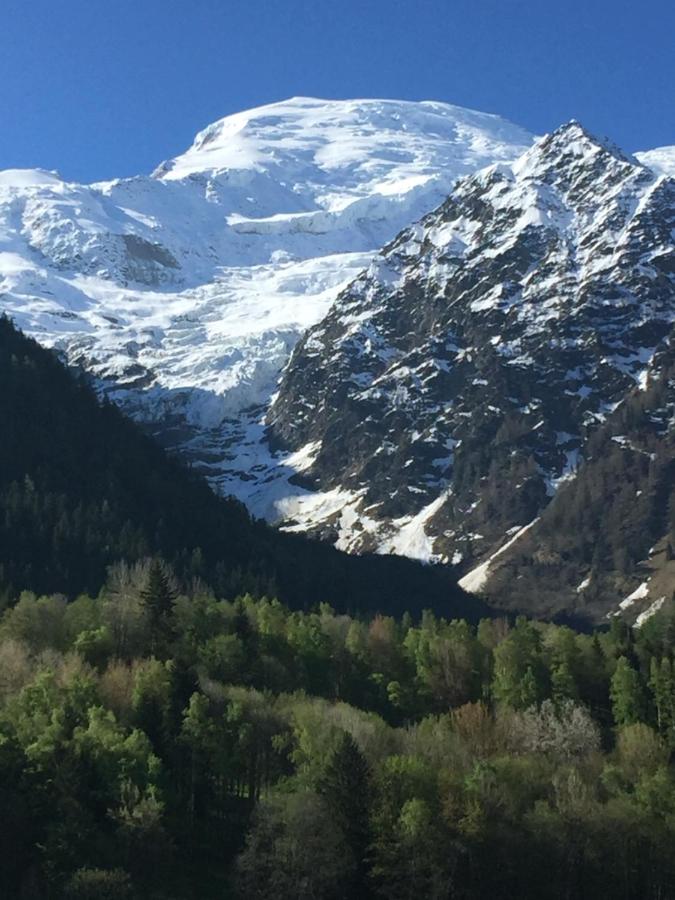 Appartement face au Mont Blanc & Glaciers - B&B