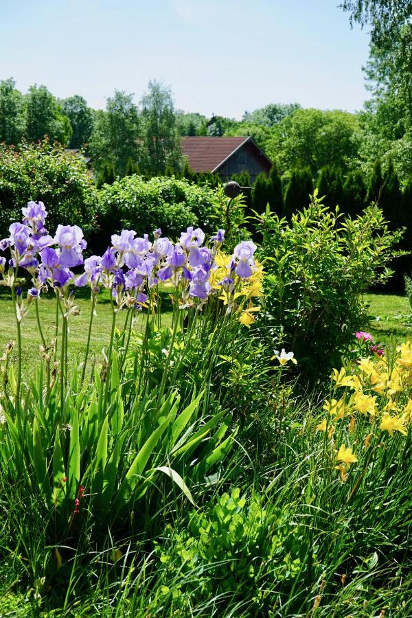 Ferienwohnung Auszeit im Pfaffenwinkel - Wessobrunn - B&B Wessobrunn