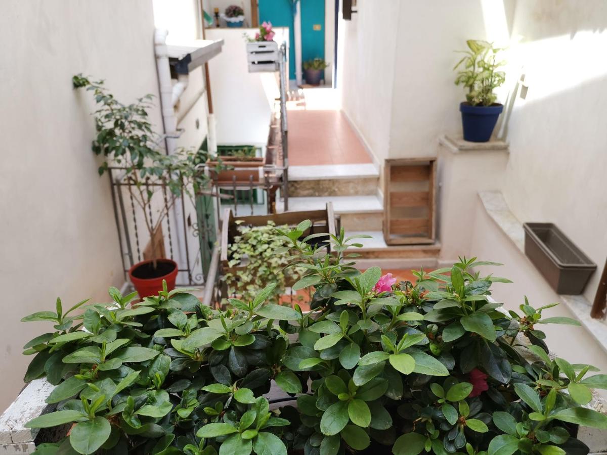 CasuzzaMia - B&B Palermo