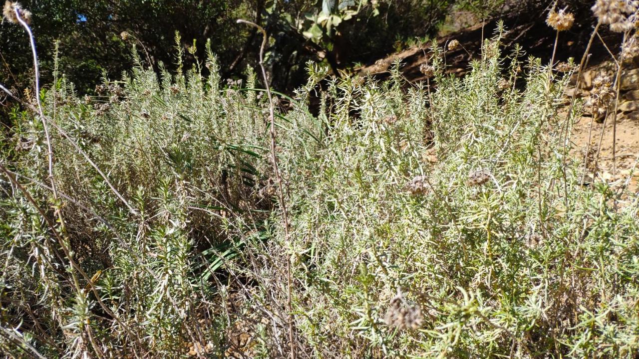 Camera Matrimoniale con Vista Montagna