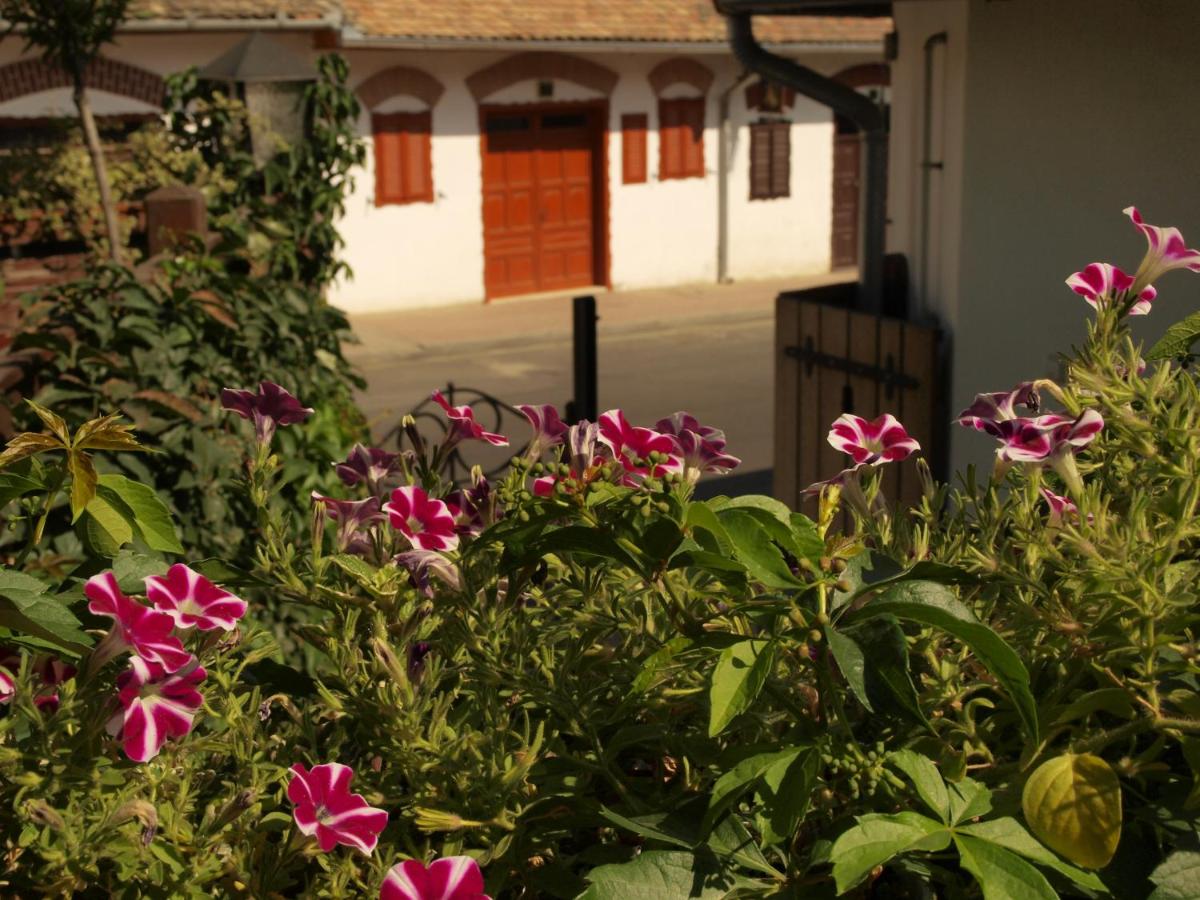 Vitényi Pince Vendégház - Ferienwohnung