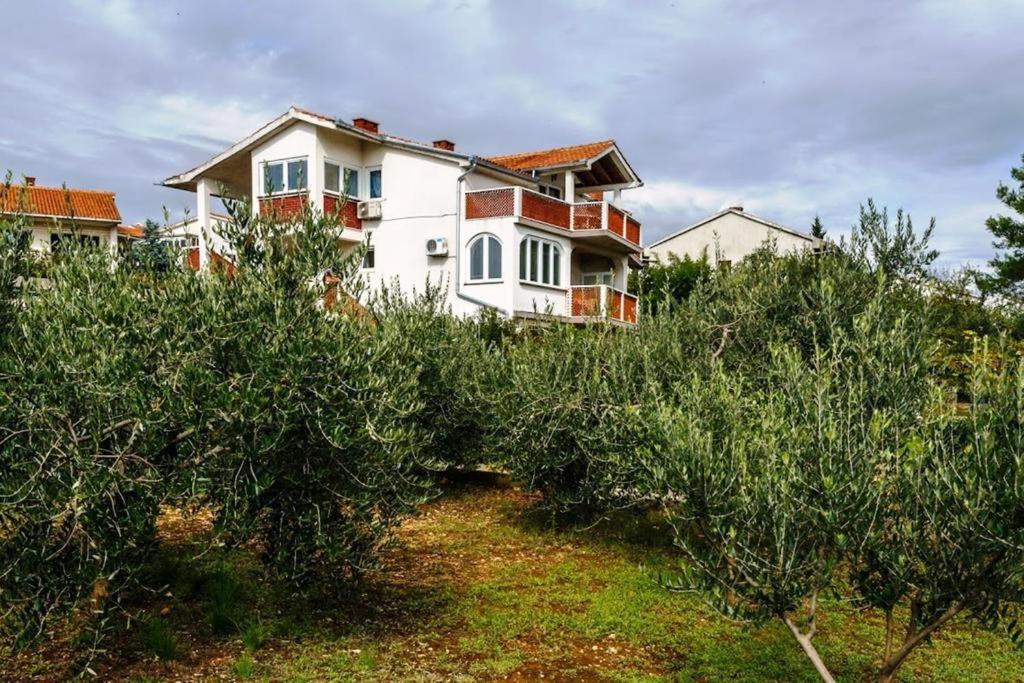 Apartment Leni - B&B