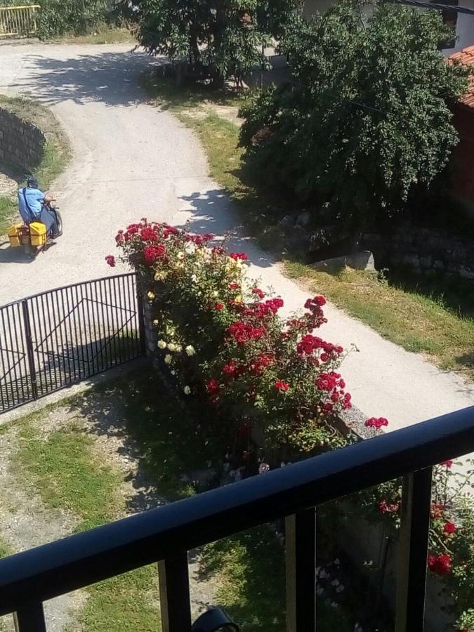 Sobe Seka - Ferienwohnung Golubac