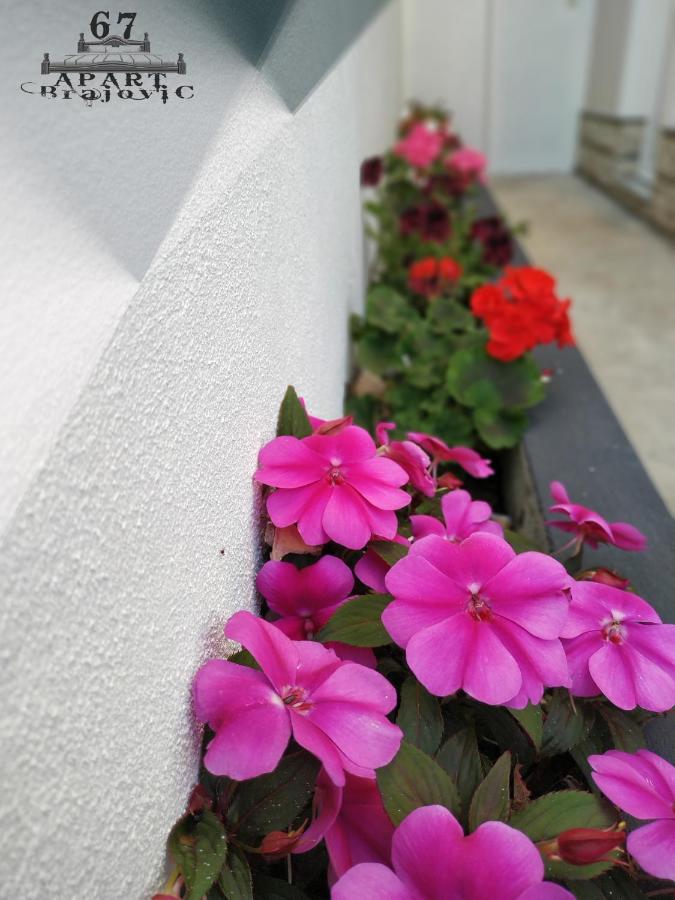 ApartBrajovic67 - B&B Castelnuovo di Cattaro