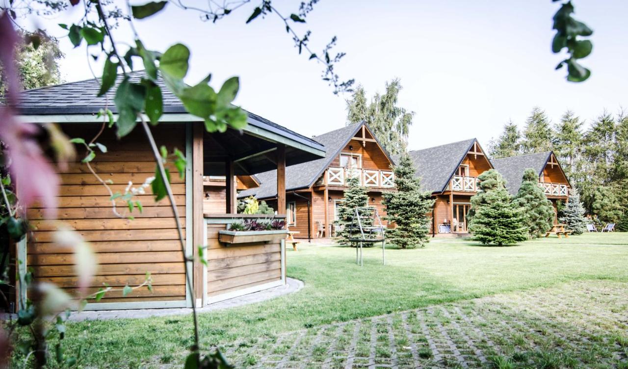 Domki Białogóra - B&B Wittenberg