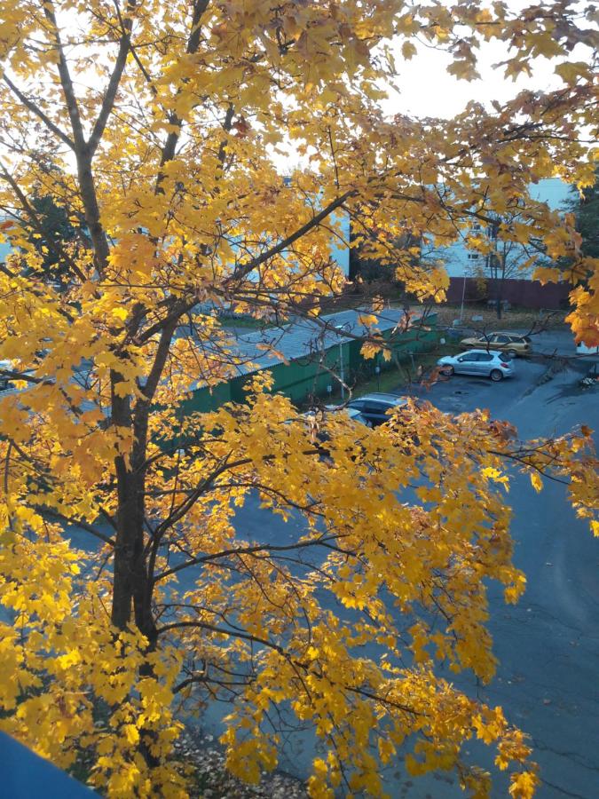 Apartment Kivistö, 2 km from centrum, free wifi and parking, no smoking, allergenes - Ferienwohnung Jyväskylä