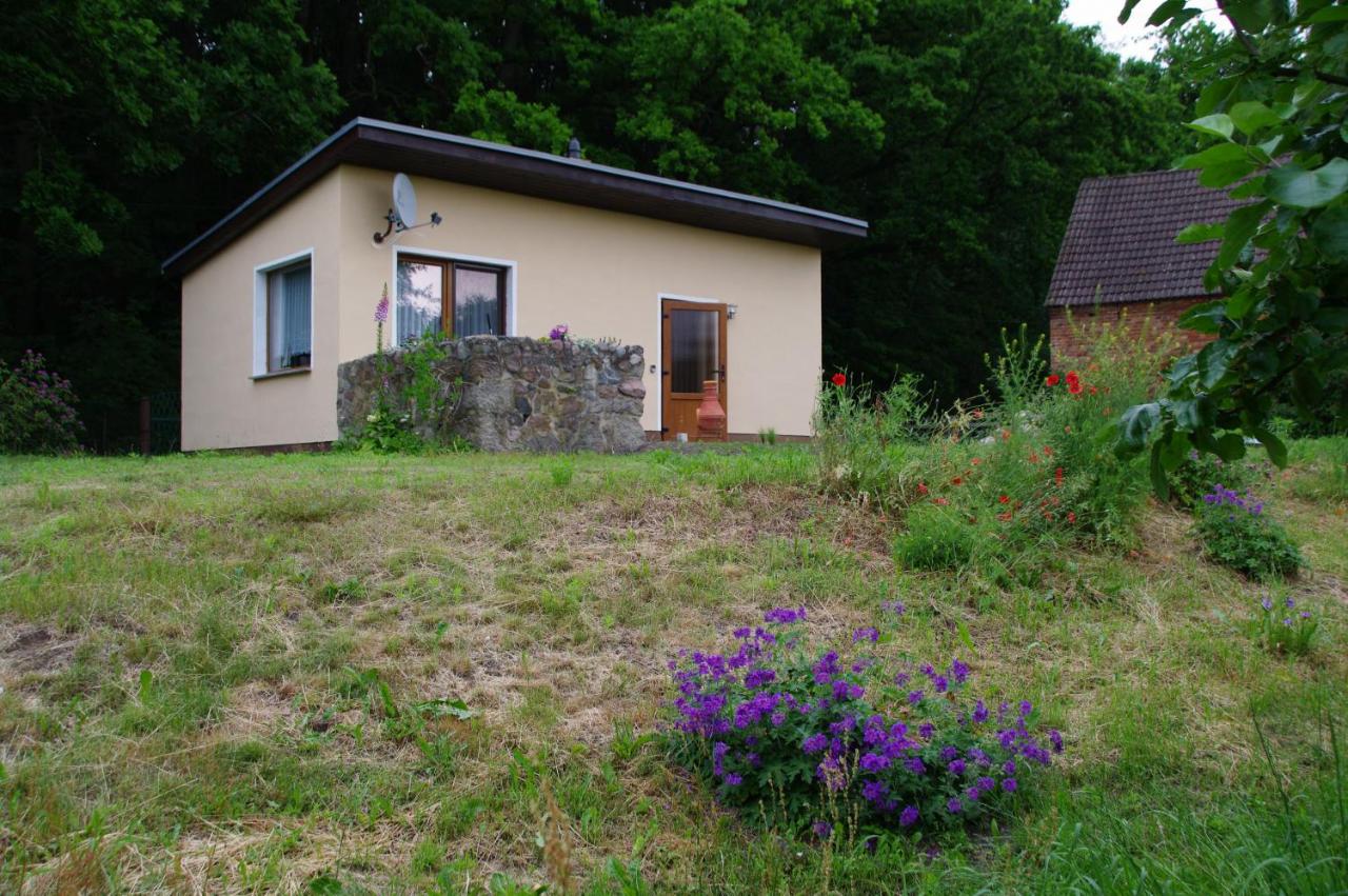 Bungalow am Forsthaus Stagnieß - B&B