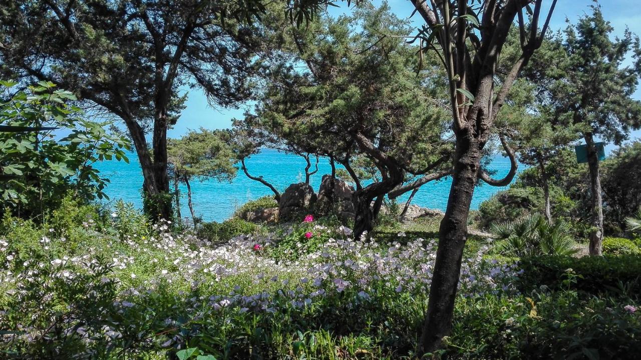 B&b Giglio di Mare - Ferienwohnung