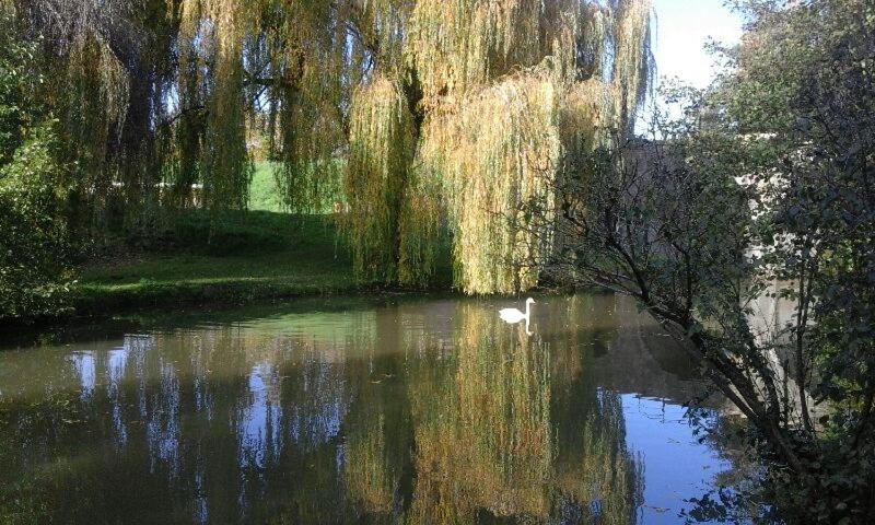 Le Clos des Cygnes - B&B