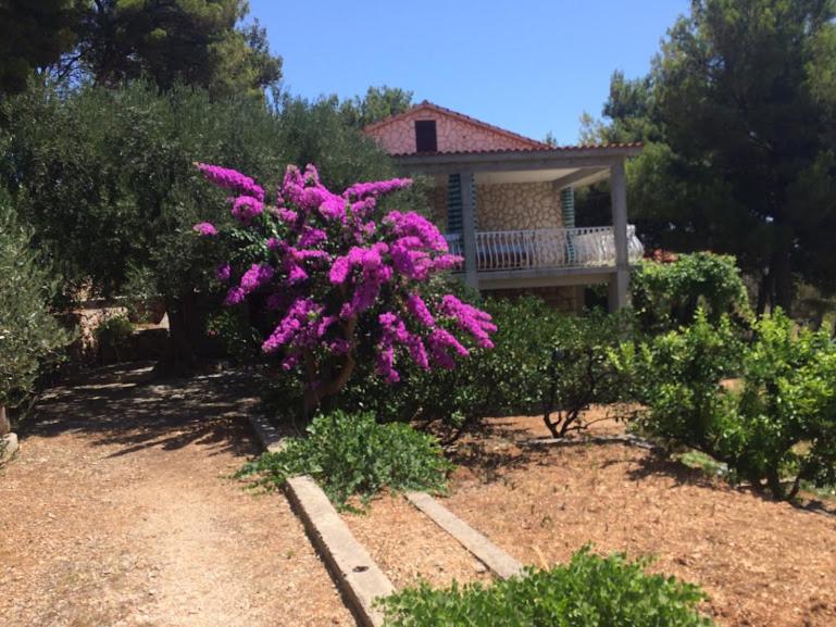 Apartmani Marija - Ferienwohnung