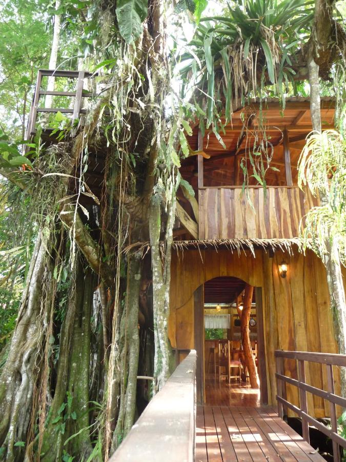 Topos Tree House - B&B Cahuita