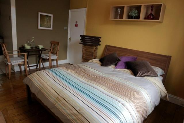 Monolocale Superior con Bagno in Comune