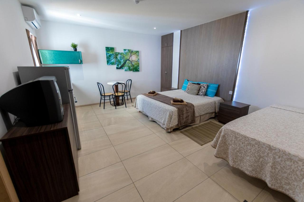 Deluxe Studio Apartment