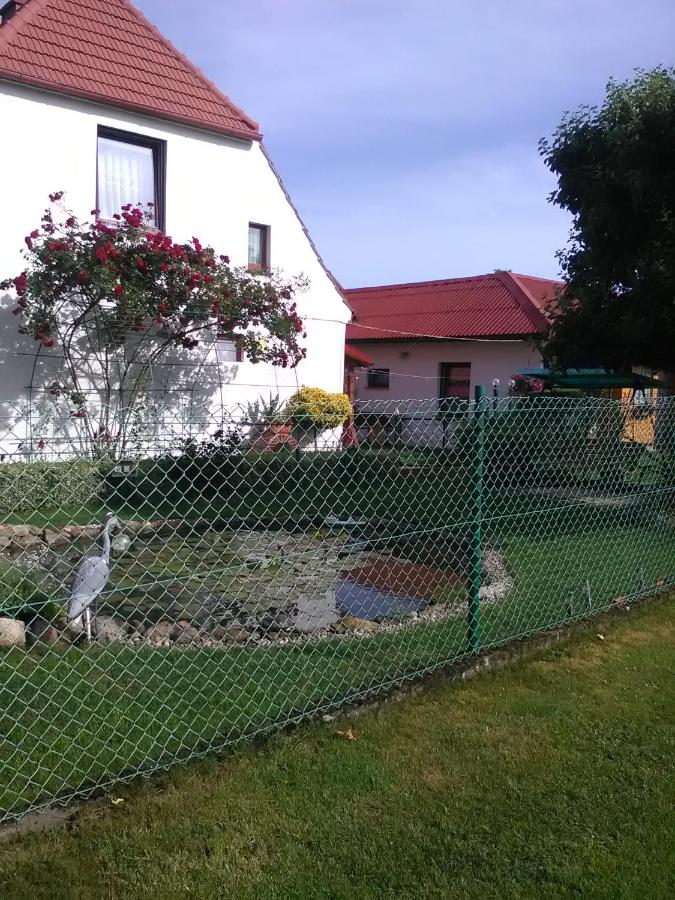 Pod strusiami - B&B