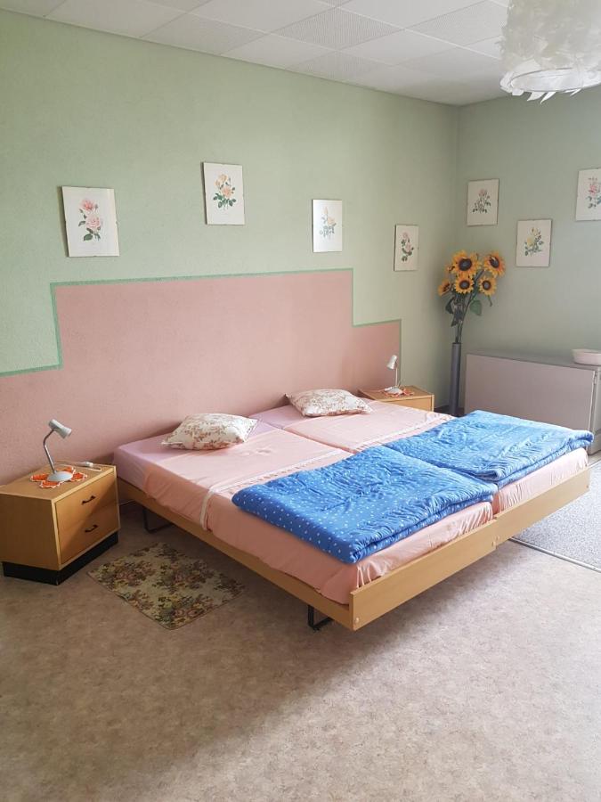 Appartement 1 Chambre