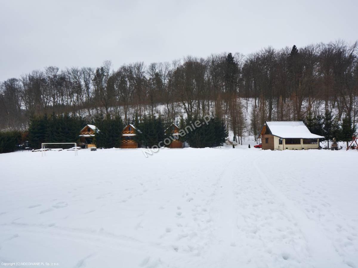 Bieszczadzka Kryjówka - Bed and Breakfast