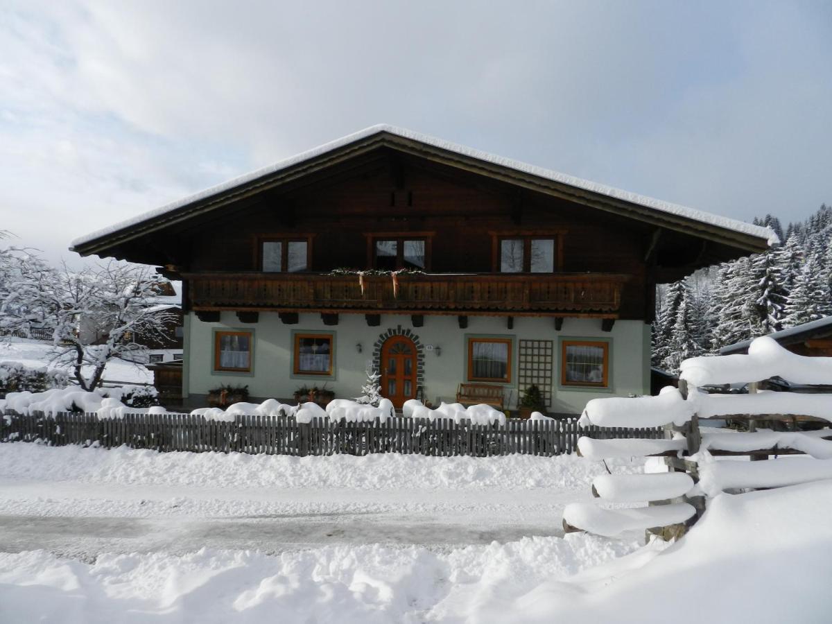 Kleinwidmoos-Apartment - Ferienwohnung Wagrain