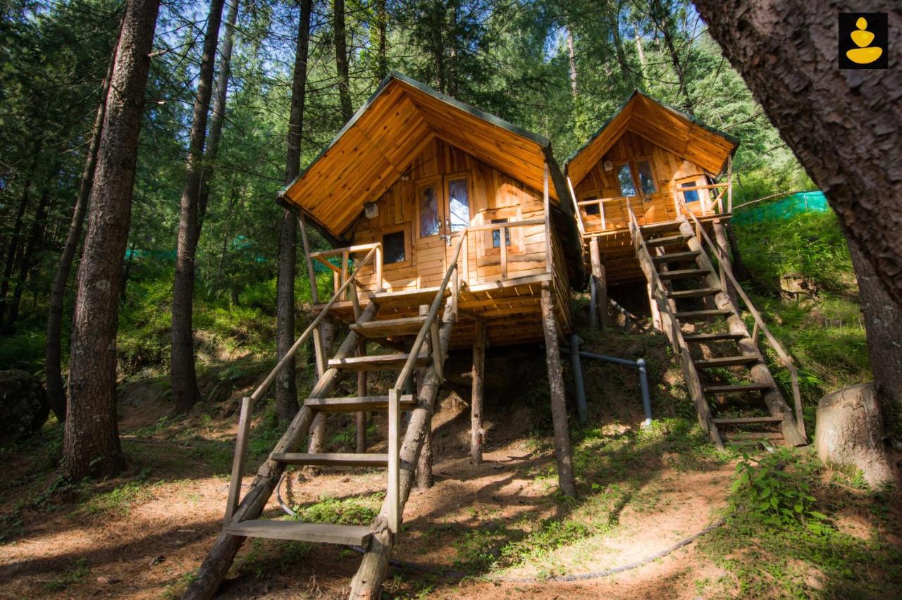 LivingStone Ojuven Treehouses - B&B