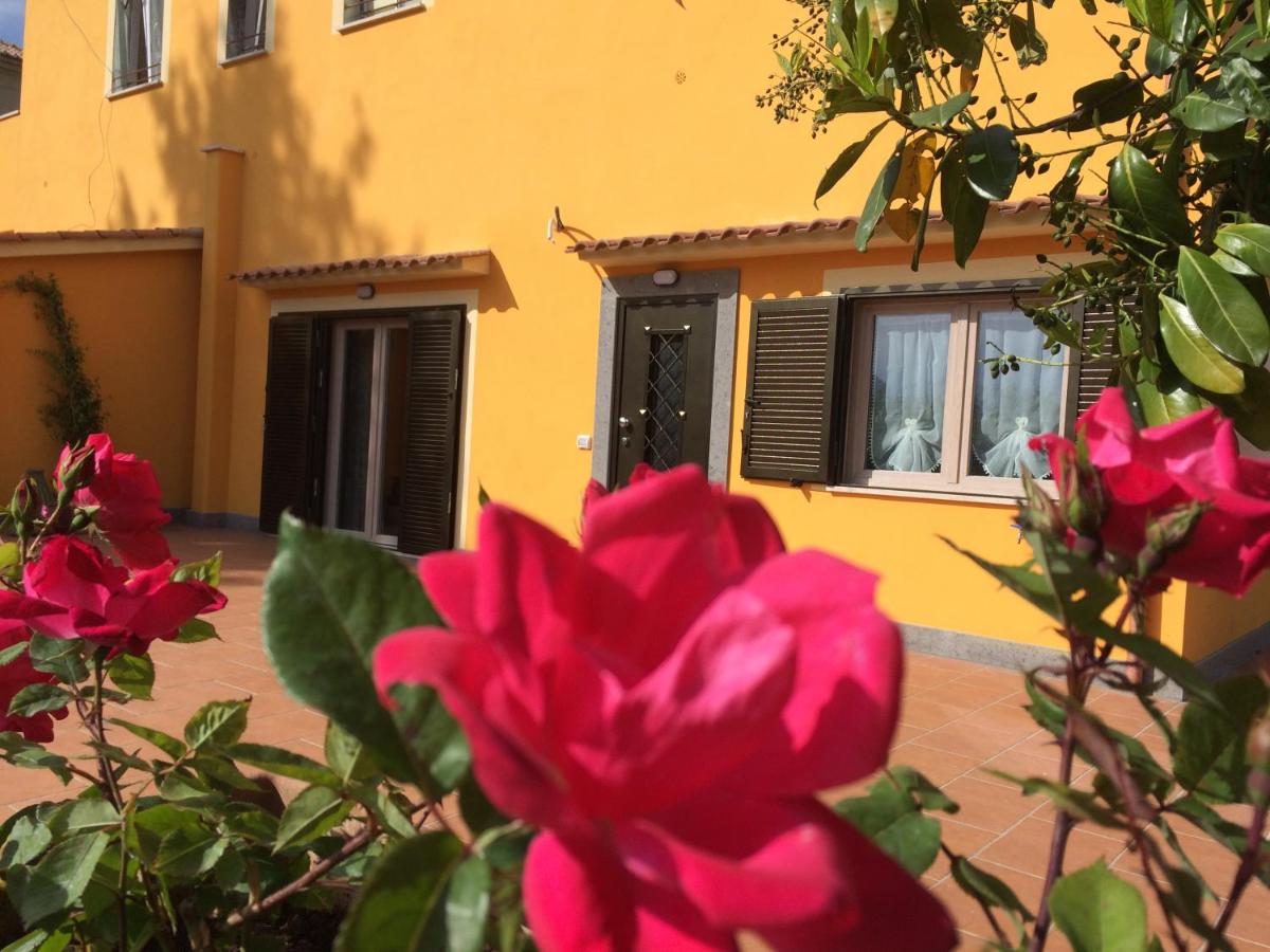 B&B Castel Gandolfo - La Villetta Apartments - Bed and Breakfast Castel Gandolfo