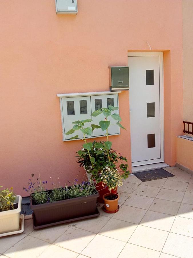 Sunshower apartment and studio - Bed and Breakfast