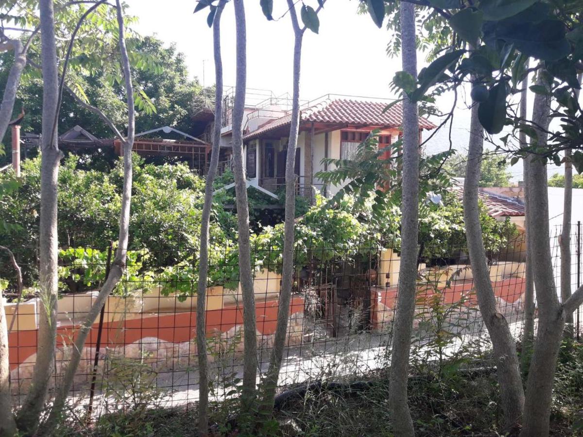 VLASSIS APTS -ΜΕΛΙΔΟΝΙ-ΔΙΑΜΕΡΙΣΜΑ ΒΑΣΙΛΙΚΗ - B&B