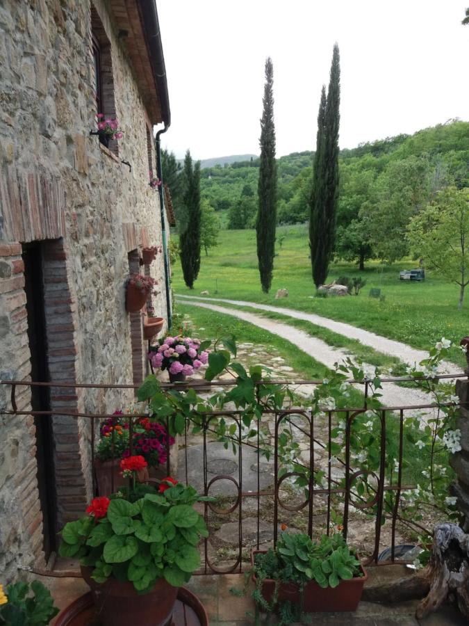 B&B Castelnuovo di Val di Cecina - Podere Pian di Cava - Bed and Breakfast Castelnuovo di Val di Cecina