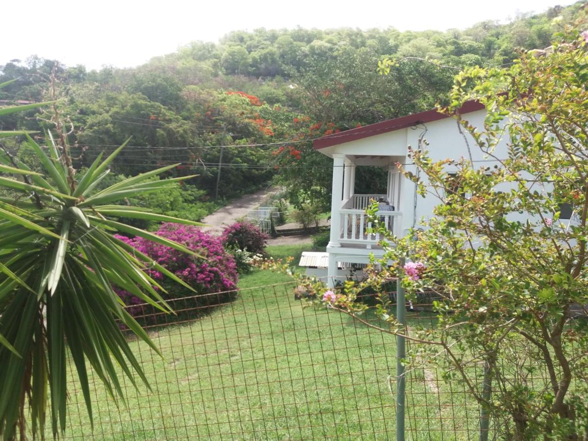 A Private Room in Paradise, Vieux Fort - B&B