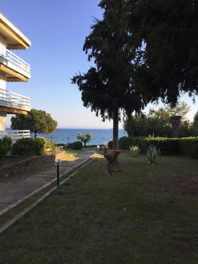 Gerakini apartment - B&B Psakoúdia