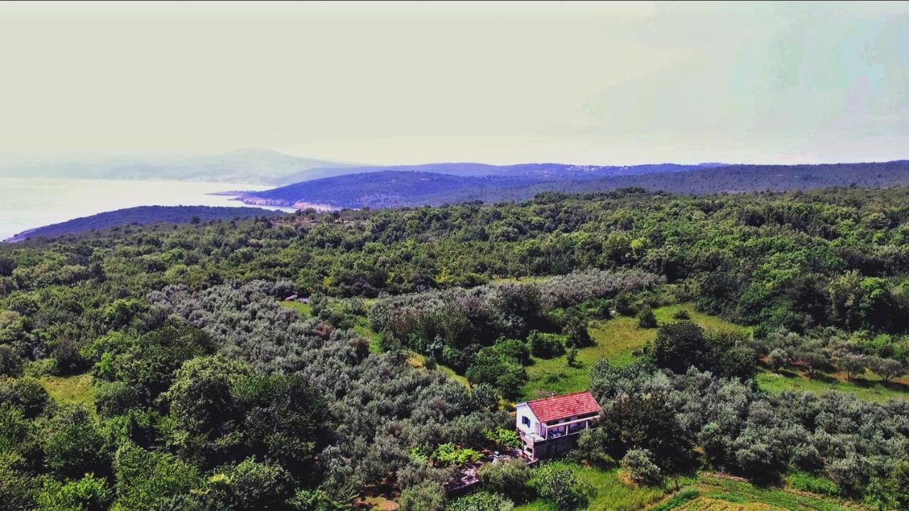 Ecohouse Oliveglia - B&B