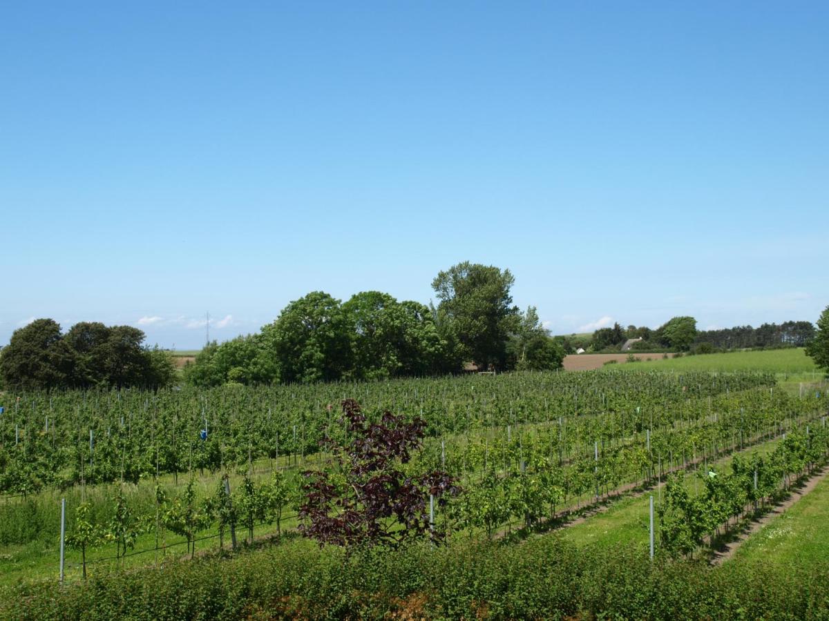 Standard Doppelzimmer mit Gartenblick