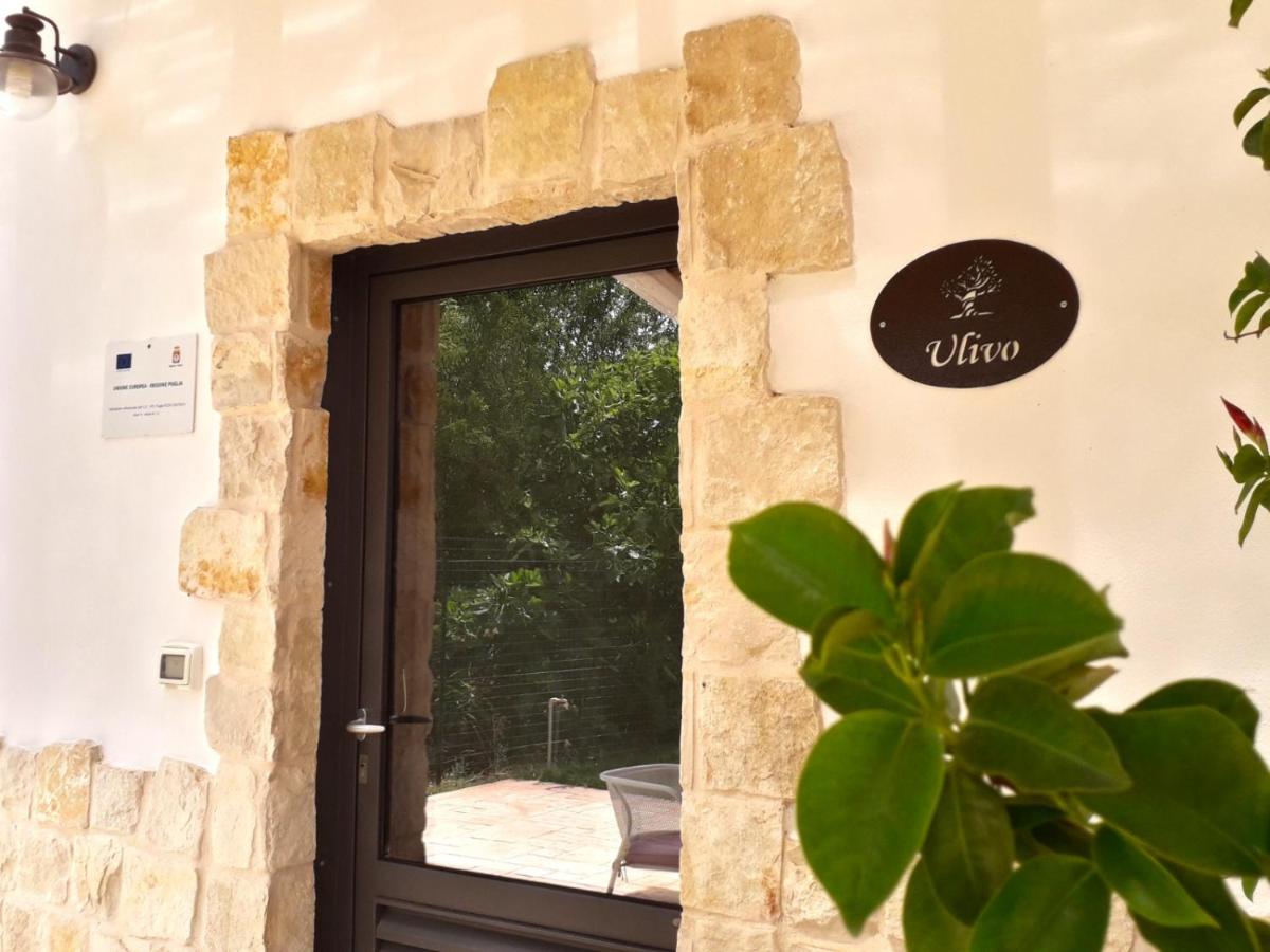 Studio with Garden View