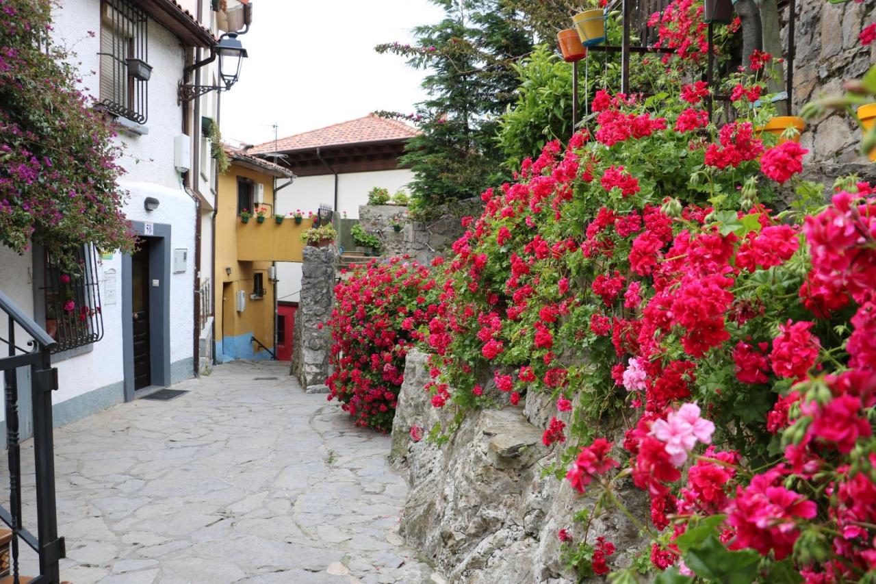 Belmonte, apartamento en Ribadesella VUT-1681-AS - Bed and Breakfast