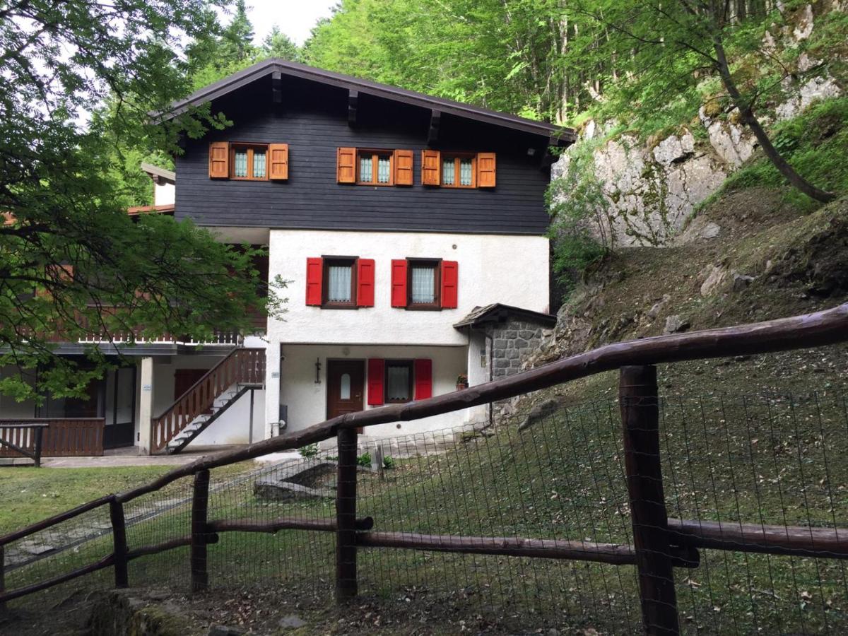 alla curva del Pagliai - Bed and Breakfast