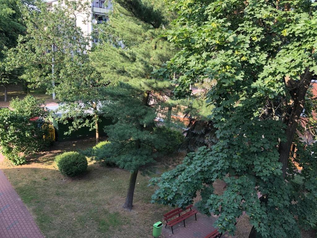 Three-Bedroom Apartment - 2 Chrobrego Street