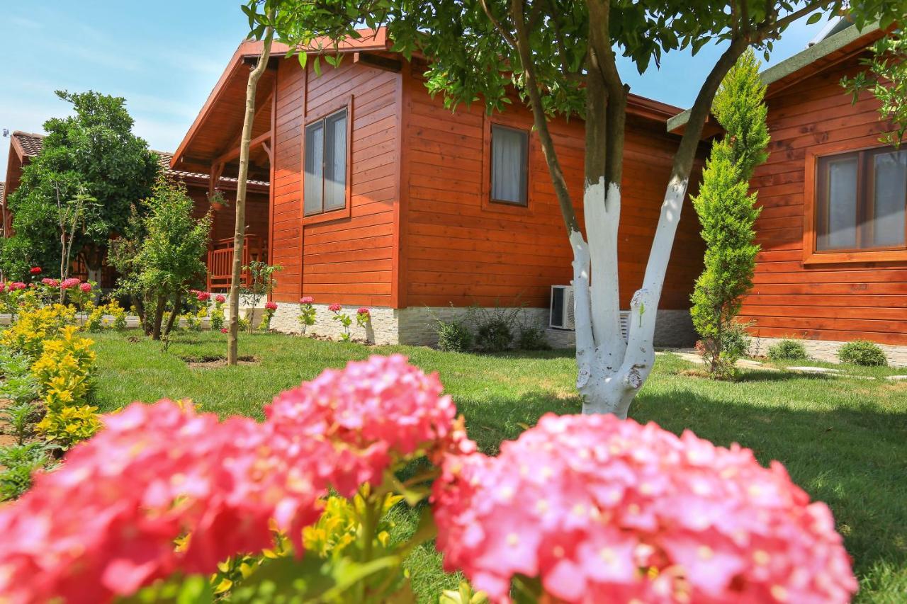 B&B Çıralı - Merry Bungalow & Tent - Bed and Breakfast Çıralı