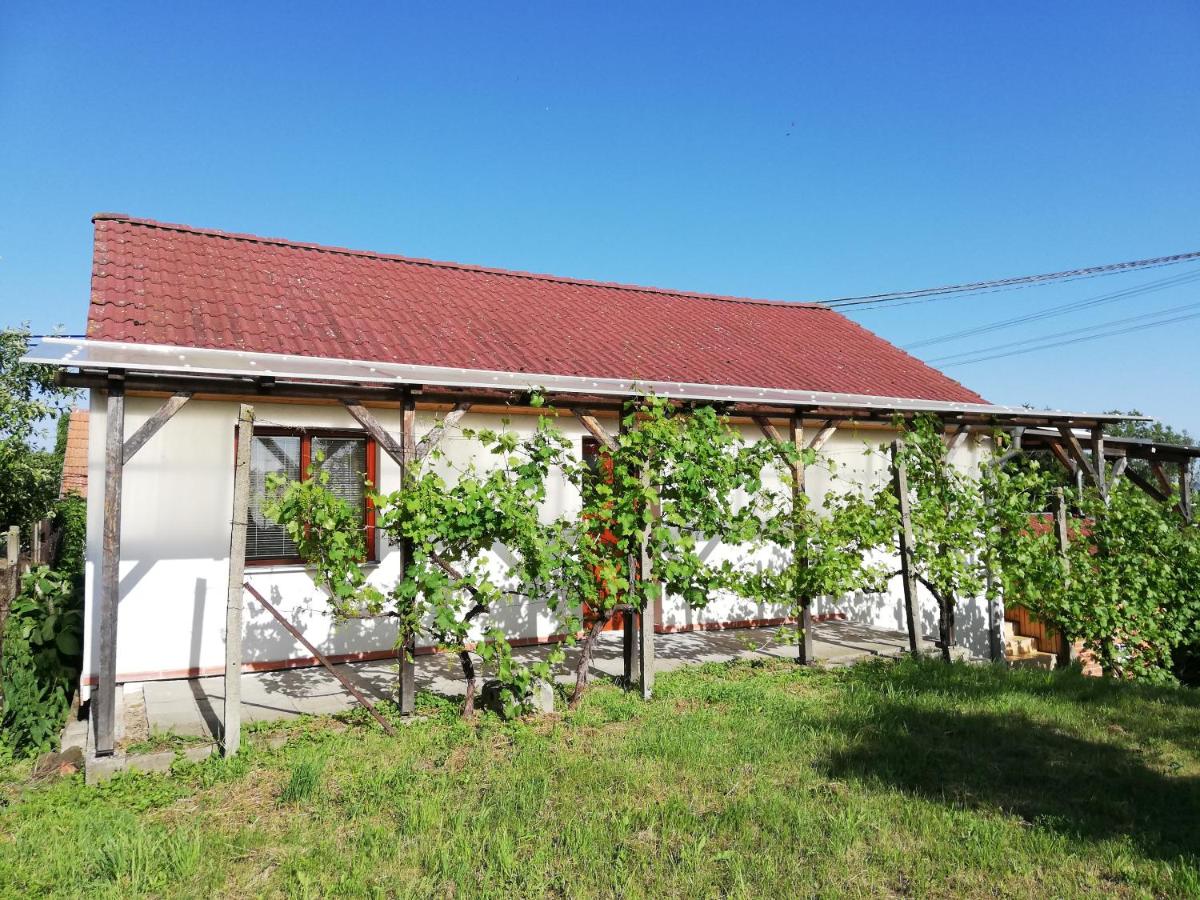 Apartmán s vinným sklepem Four Grapes - B&B Jevišovka